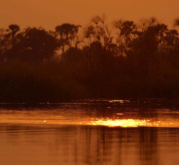 Okavango Delta, Botswana,photo by Nigel Nicholls