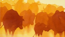 The Herd, acrylic on canvas 24x20" by Alison Nicholls